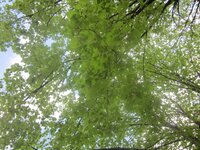 Изображение 31573.jpg