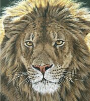 portrait of a king.JPG