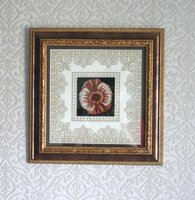 01_роза песков.jpg