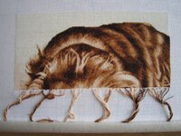 Кокер 22 фев.jpg