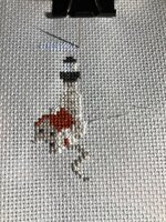 IMG_3527 (480x640).jpg