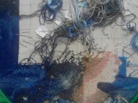 Дева.  Отшив на 14.08.16.  +400.jpg