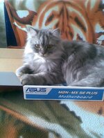 фото с телефона 080.jpg