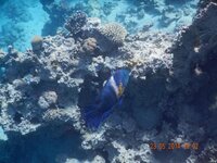 отдых 2014 май 653.jpg