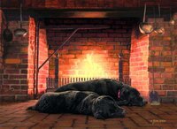 fireside companions.JPG