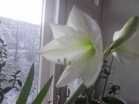 Изображение 257.jpg