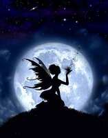 Heaven and Earth Designs - Catch a Falling Star.jpg