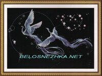 райские птички.jpg