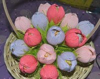 конфетные тюльпаны.jpg