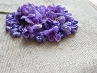 2016-01-23 14-04-32.jpg