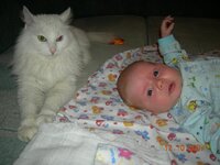 Изображение 340.jpg