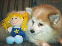 кукла АЛИСА.jpg