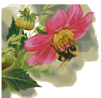 пчела на цветке..png