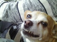 IMAG4328 [Разрешение рабочего стола].JPG