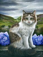 Before The Storm.jpg