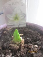 Изображение 841.jpg