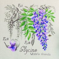 lin-etude-a-la-glycine-maxi-grille-a-broder-au-point-de-croix (1).jpg