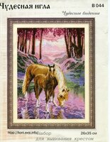 Чудесная игла В#044 - Чудесное видение.jpg