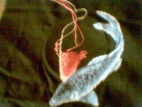 02 богатство.JPG