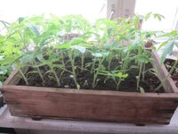 Изображение 31433.jpg