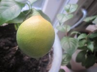 Изображение 537.jpg