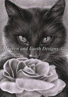 HAEZIN 14340 Kitten and The Rose.jpg