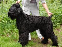 2015-07-11 10-57-32.jpg