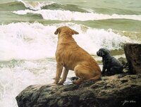 no swimming lessons.JPG