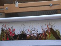 DSCN1660. - Copy.jpg