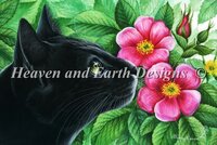 Dog Rose.jpg