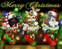 Purrfect Stocking Stuffers.jpg