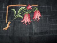 колибри 01.jpg