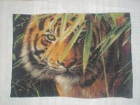 Светлана 13.07.15.jpg