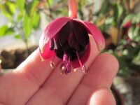 Изображение 927.jpg