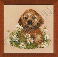 риолис_щенок в ромашках_932.jpg
