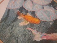 Изображение 575.jpg