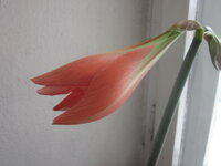 Изображение 32779.jpg