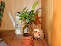 2016-08-21 12-05-42.jpg