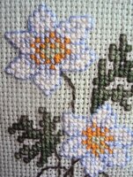 03_лесной анемон.jpg