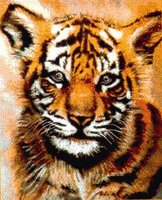 KK JW-008 Baby Tiger.jpg