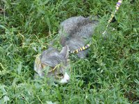 август 12 (10).jpg