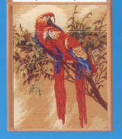 два красных ара.jpg