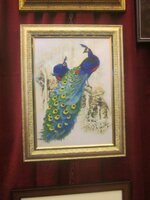 Изображение 527.jpg