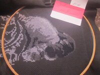 Изображение 714.jpg