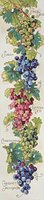 панно виноград.jpg