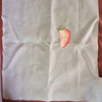 20170601 цветы.JPG