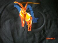 Изображение 305.jpg