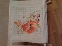 2012-11-17 22.01.48.jpg