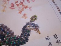 Изображение 1575.jpg