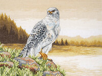 5678000-01036 Gyre Falcon.jpg